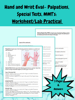 Preview of Hand and Wrist Eval: Palpations, Special Tests, MMT's: Worksheet/Lab Practical