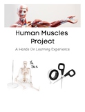 Hands On Human Muscles Project