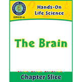 Hands-On STEAM - Life Science: The Brain Gr. 1-5