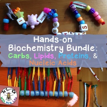 Preview of Biochemistry Activity Bundle with Four Macromolecules for High School Biology