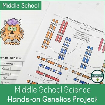 Preview of Hands-on Genetics Project to Study Inherited Traits, DNA, Genes, and Chromosomes