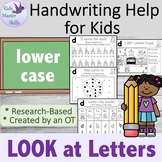 Handwriting Lower Case - Letter Recognition - "LOOK at LETTERS"