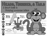 Printing Lowercase Letters Workbook