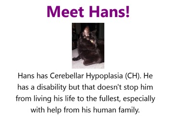 Preview of Hans: Overcoming Obstacles