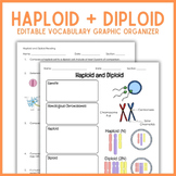 Haploid + Diploid Vocabulary Graphic Organizer | Biology G