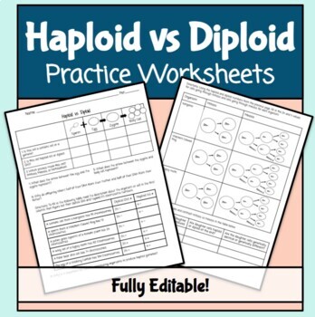 Haploid vs Diploid Worksheet (Editable google slides) by Hey Now Science