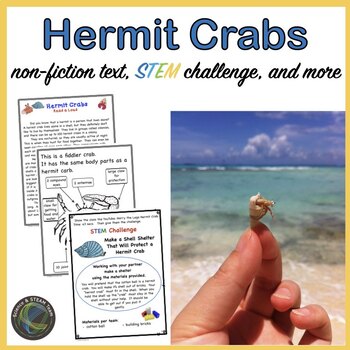 Preview of Hermit Crabs STEM Challenge and More