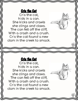Hard and Soft C and G Sound Poems by Mrs Marys Pineapples | TpT