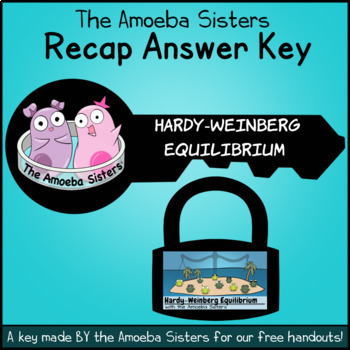 Preview of Hardy-Weinberg Equilibrium Recap ANSWER KEY by the Amoeba Sisters (ANSWER KEY)