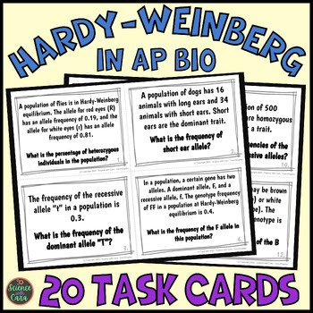 Preview of Hardy Weinberg Equilibrium Task Cards
