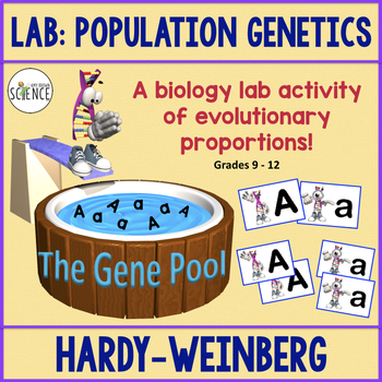 Preview of Hardy Weinberg Population Genetics Lab Simulation