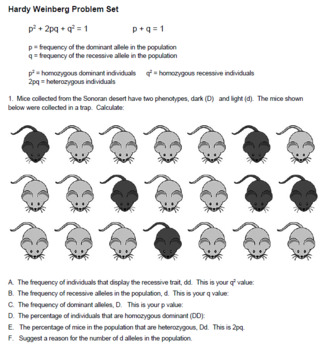 Hardy Weinberg Problem Set (KEY) by Biologycorner | TpT