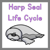 Harp Seal Life Cycle