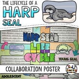 Harp Seal Life Cycle Activity: Collaborative Research Poster