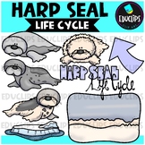Harp Seal Life Cycle Clip Art Set {Educlips Clipart}