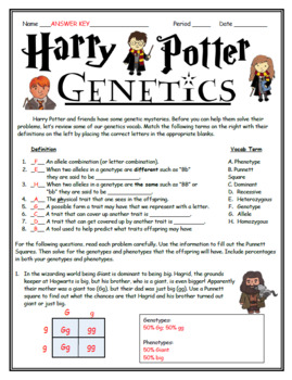 Harry Potter Punnett Square Practice by BioHero | TpT