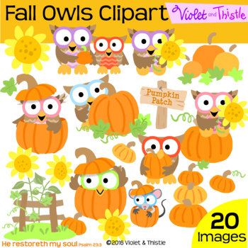 Harvest Owls Clipart Fall Owl Clipart Pumpkin Owl Clip Art | TpT