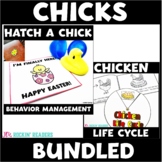 Hatch a Chick | Classroom Management | Life Cycle of a Chi