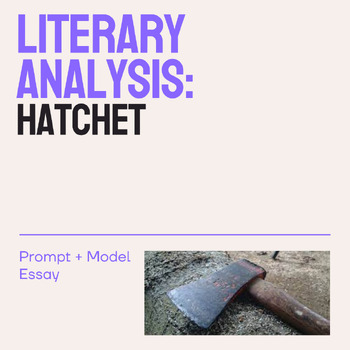 hatchet essay prompt