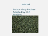 Hatchet Adapted Powerpoint - 20 Slides reviewing each chap