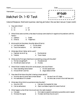 Hatchet Chapter 10 Questions Worksheets Teaching Resources Tpt