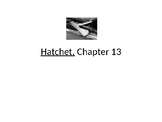 Hatchet Chapter 13 Powerpoint for Classroom Discussion