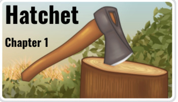Preview of Hatchet Modified Novel Vocabulary Level 2-3