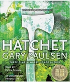Hatchet Novel Quiz Chapters 16 & 17