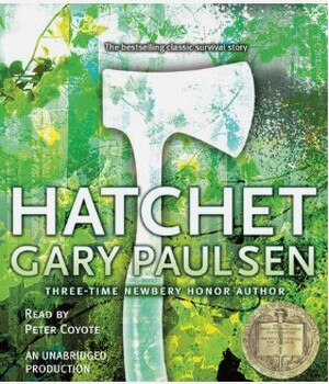 Preview of Hatchet Novel Quizzes Bundle