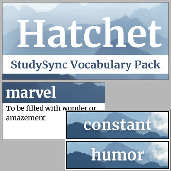 Preview of Hatchet StudySync Full Novel Vocabulary Pack