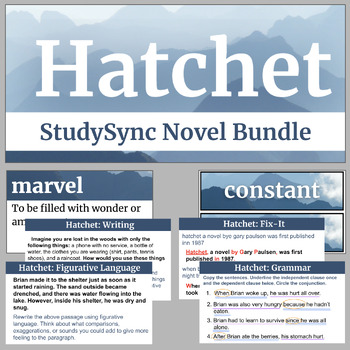 Preview of Hatchet StudySync Novel Supplement Bundle