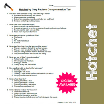 Preview of Hatchet by Gary Paulsen Comprehension Test- ELA RL.1, RL.2- DIGITAL TOO