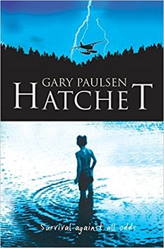 Preview of Hatchet by Gary Paulsen - Plot Summary Cloze Format