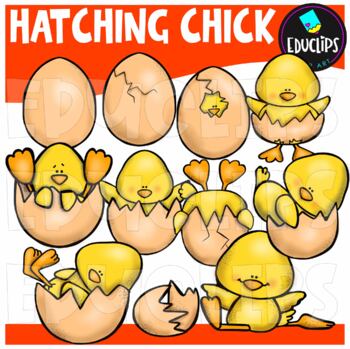 Preview of Hatching Chick Clip Art Set {Educlips Clipart}