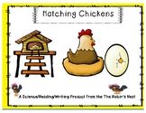 Hatching Chickens:  A Reading, Writing, and Science Unit