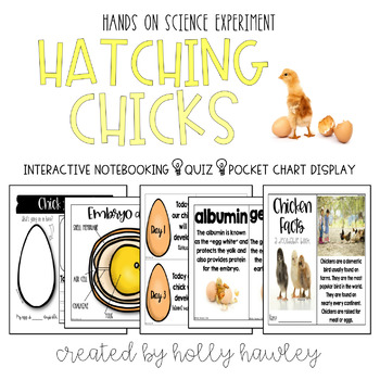 Preview of Hatching Chicks: Chick Life Cycle Science Experiment