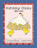 Hatching Chicks, Chickens, Biology, Distance Learning