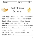 Hatching Ducks Fill In The Blank Story