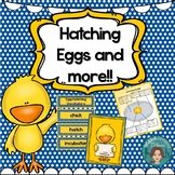 Hatching Eggs - Diary, Vocabulary and Suggested Reading