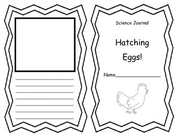 Preview of Hatching Eggs Science Journal