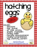 Hatching Eggs with your Class Mini Unit