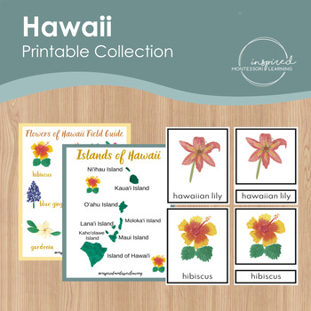 Preview of Hawaii printable activity, Plants and Flowers 3 part cards, Hawaii Map