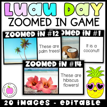 Preview of Hawaiian Beach Luau Day Guess the Mystery Zoomed In Picture Digital Game