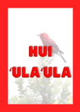 Hawaiian olelo Hawaii Colored Teams sign - red