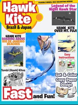 Preview of Hawk Kite from Brazil and Japan - DIY Stem/Steam