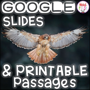 Preview of Hawks NONFICTION GOOGLE and PRINTABLE Passages and Writing Activities