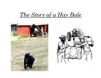Preview of 2nd Grade Farm Lesson: The Story of a Hay Bale - Complete Package