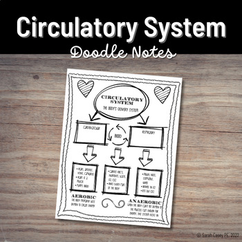 Preview of Health Doodle Notes: Circulatory System - Interactive Visual Notes