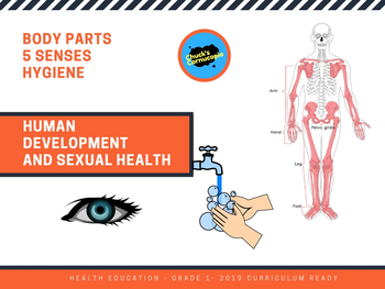 Preview of Health - Human Development and Sexual Health - Gr. 1 - Body Parts-Senses-Hygiene