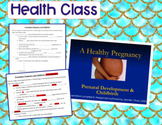 Health Human Growth & Development: Pregnancy, Prenatal Dev